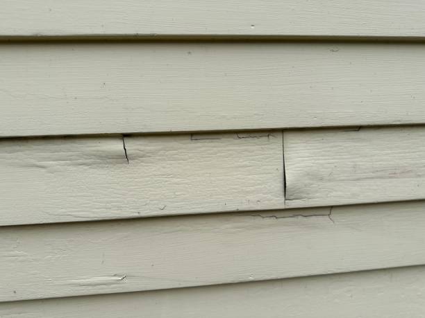 Best Historical Building Siding Restoration  in Northbrook, OH